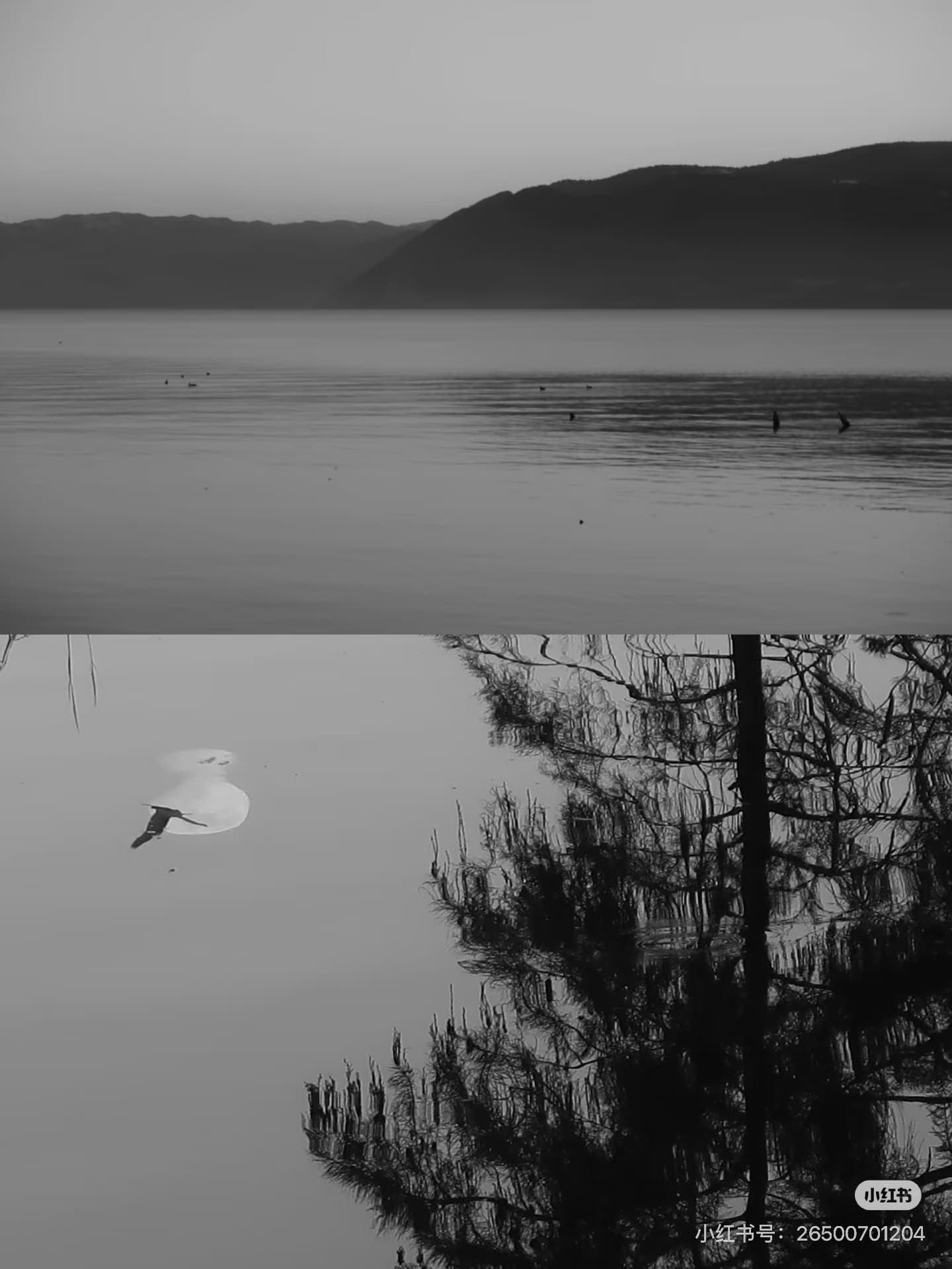 「在世间看」 — 1
