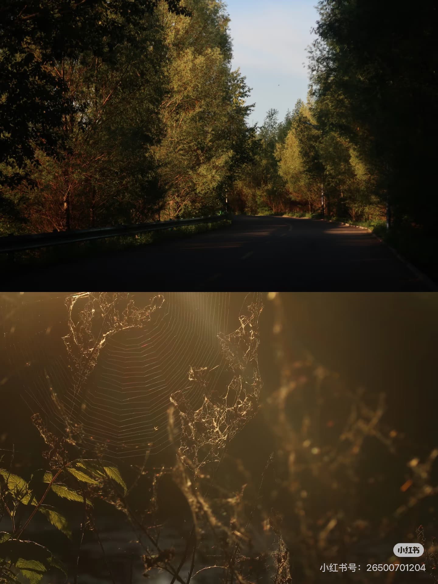 三點多的清晨太陽昇 — 2