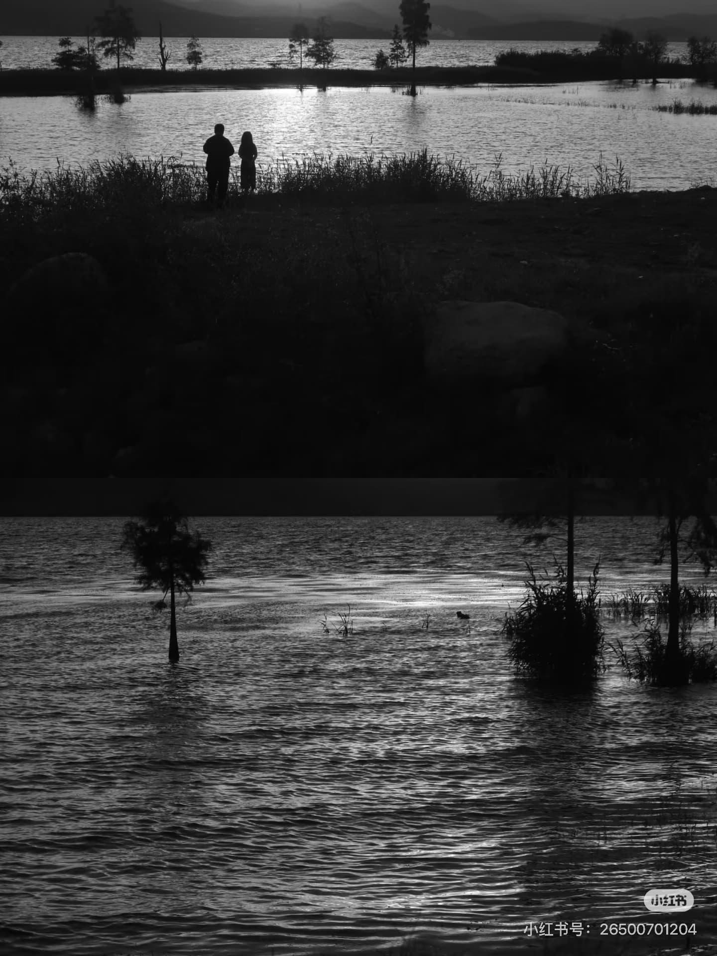 大理的日出是溫柔 — 2