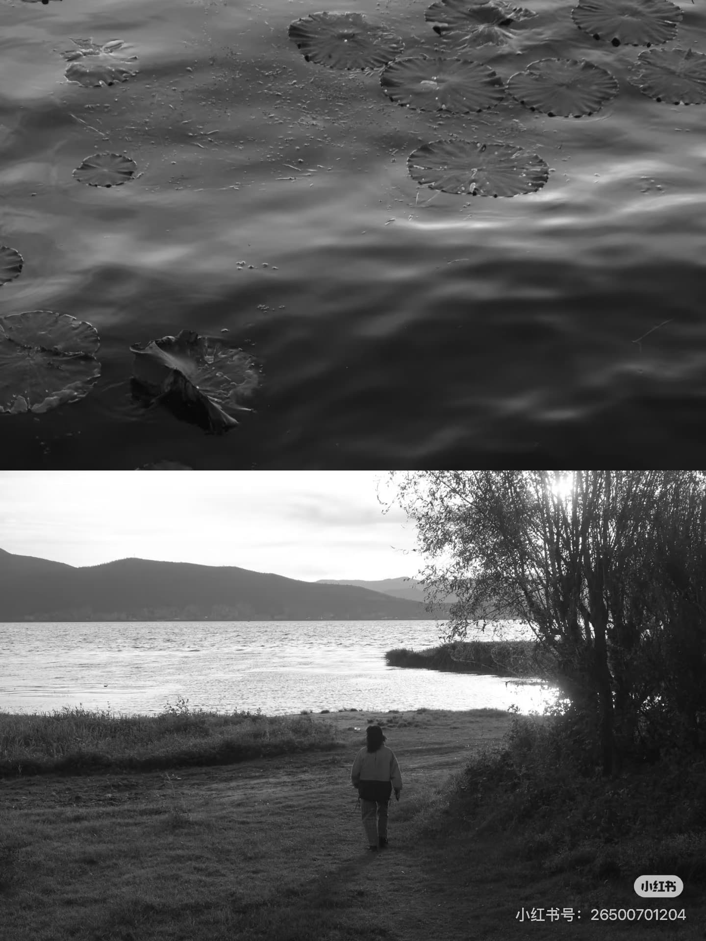 大理的日出是溫柔 — 3