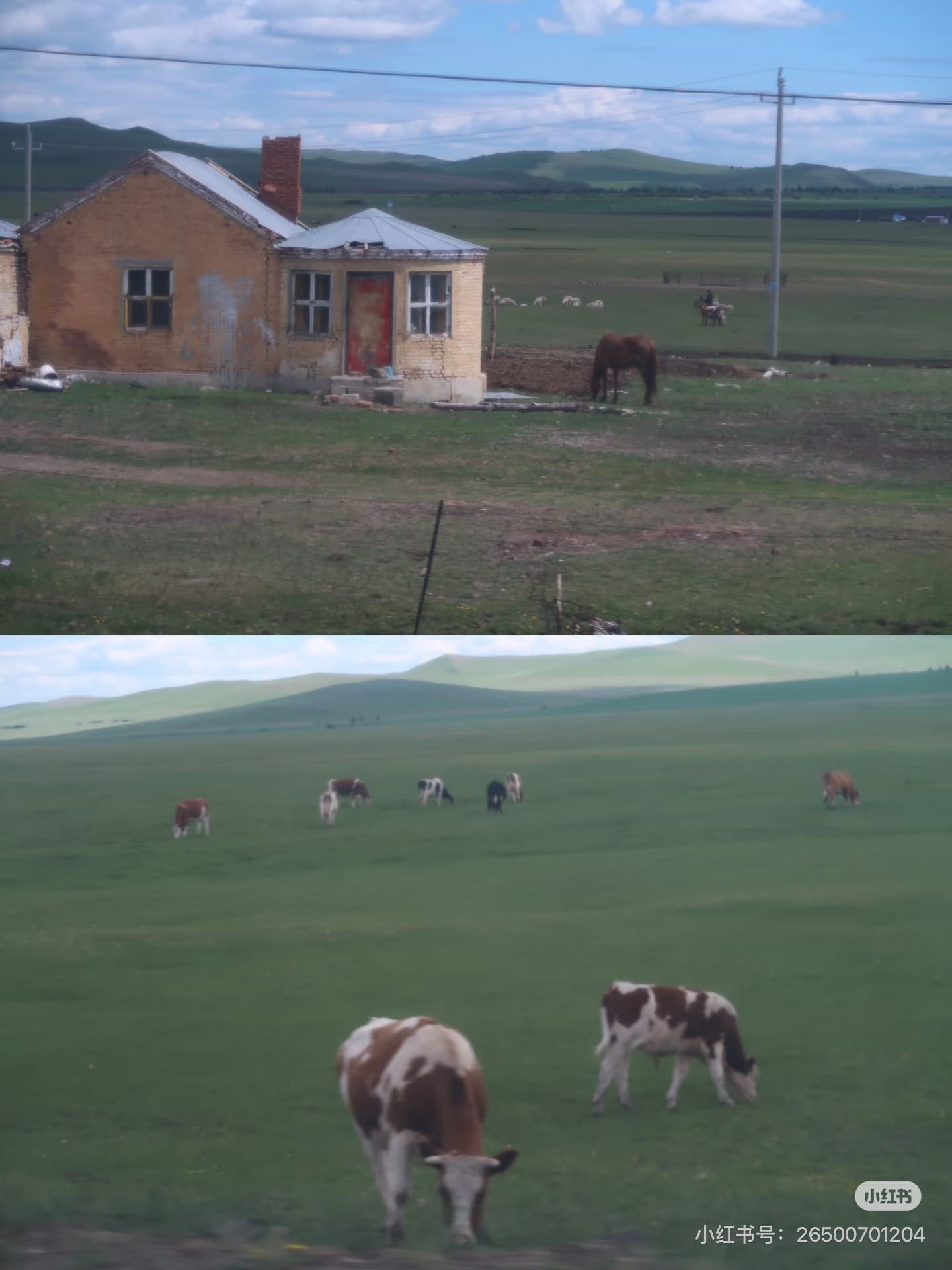 心裡的草原·心裡的家