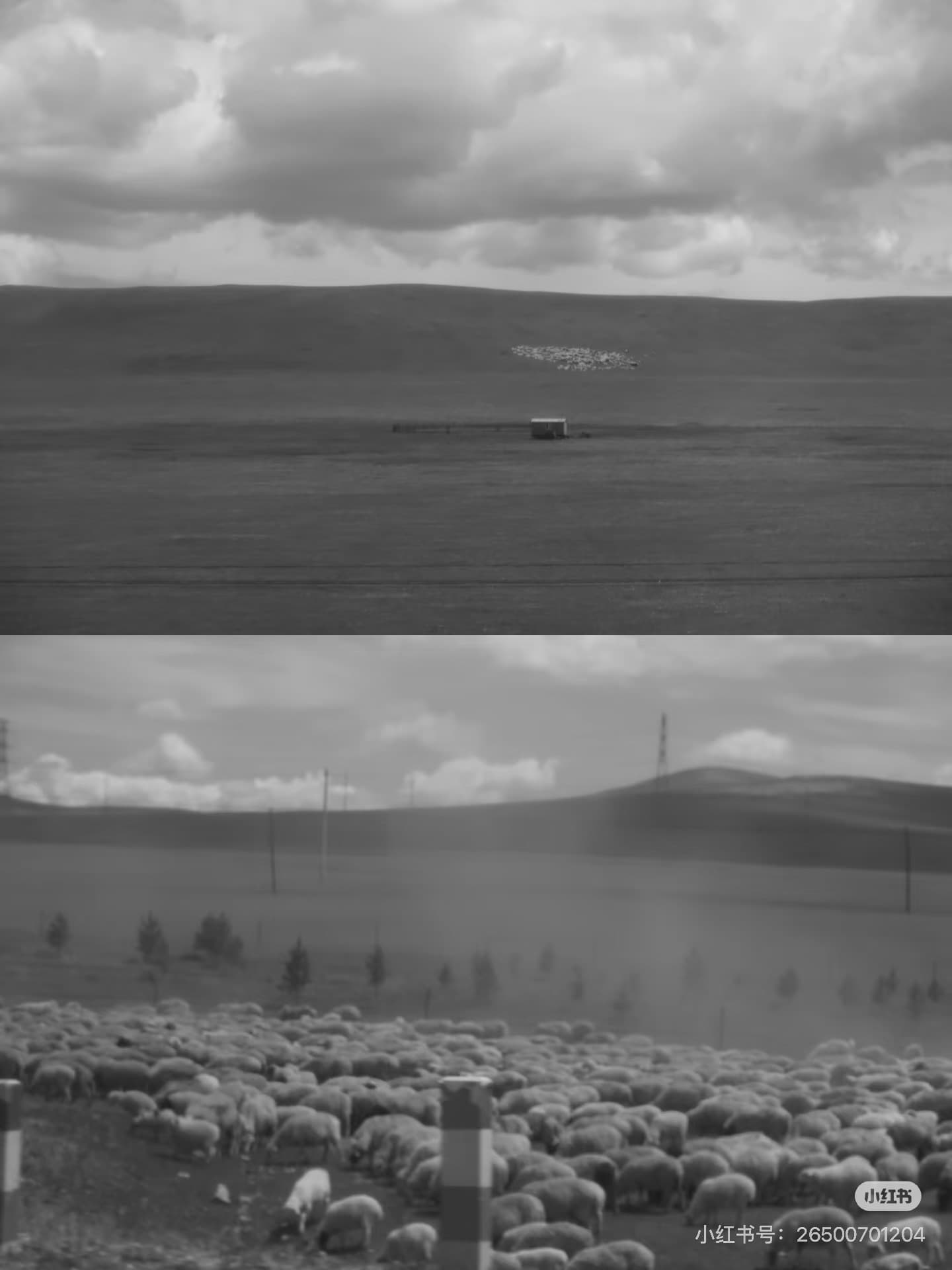 心裡的草原·心裡的家 — 2