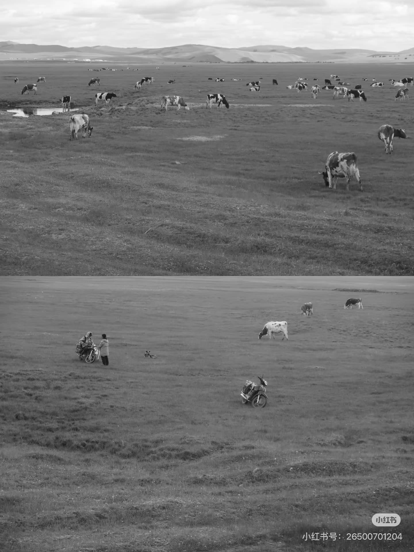 心裡的草原·心裡的家 — 3