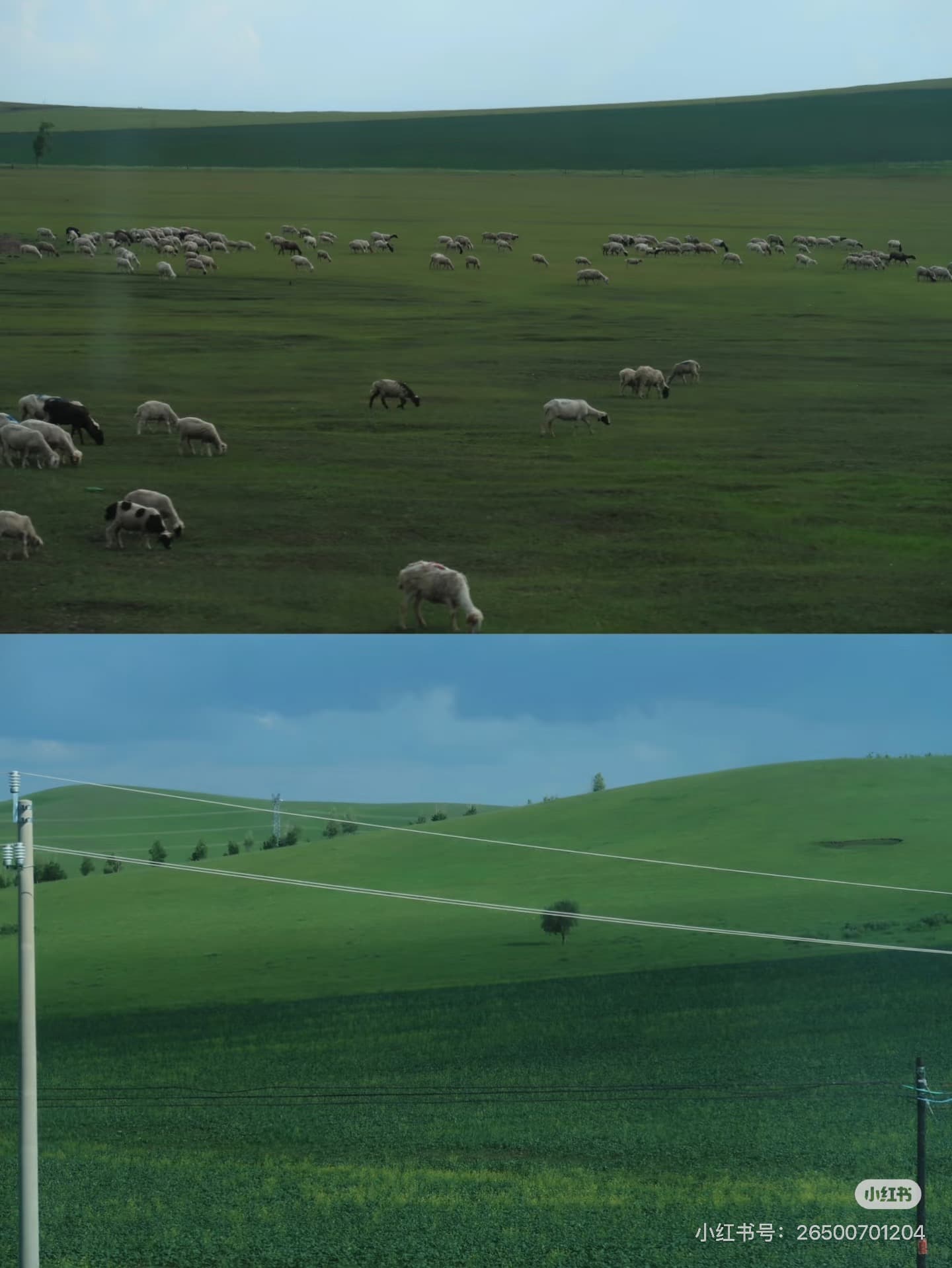 想對小學時的自己說