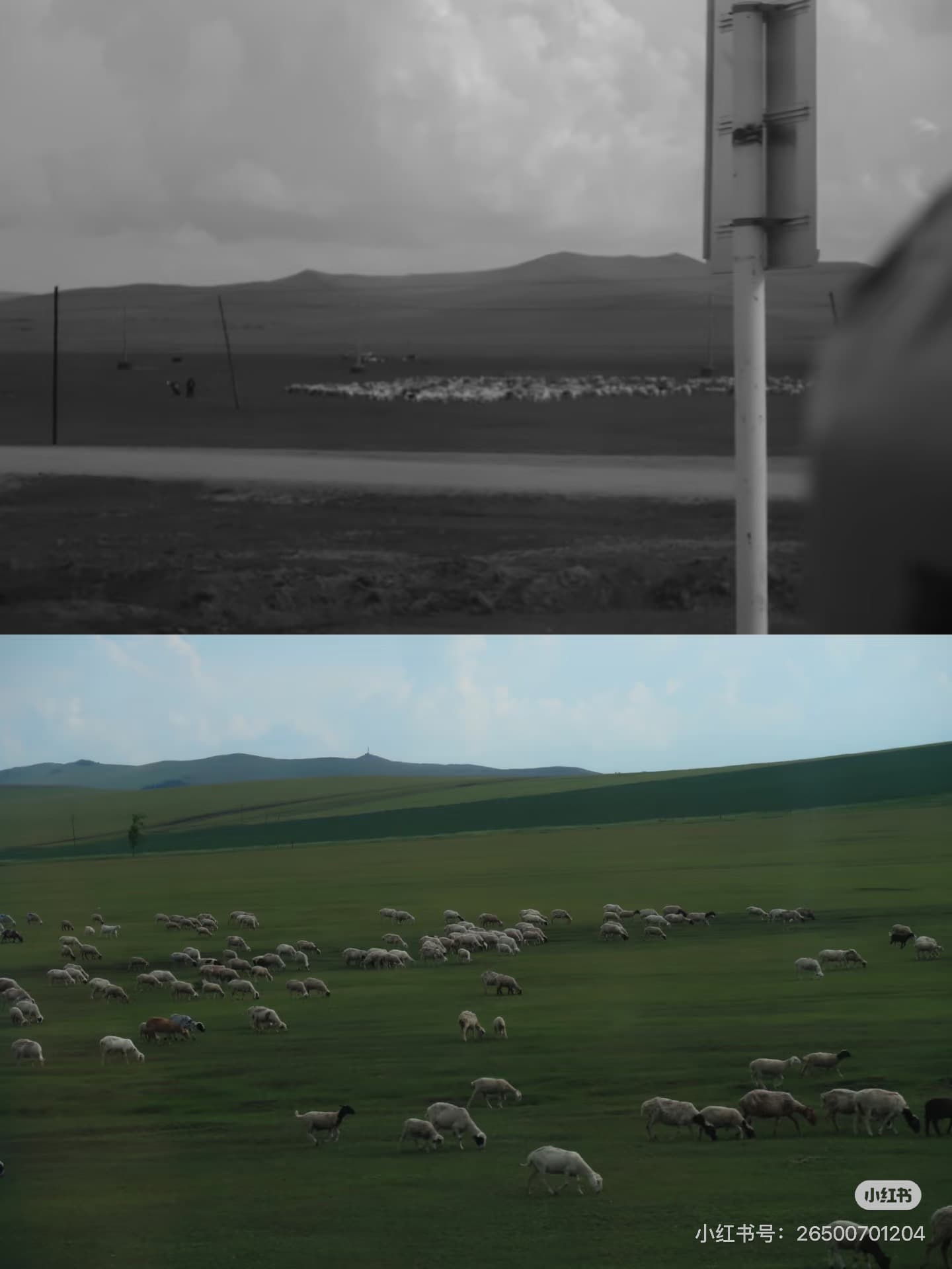 想對小學時的自己說 — 2