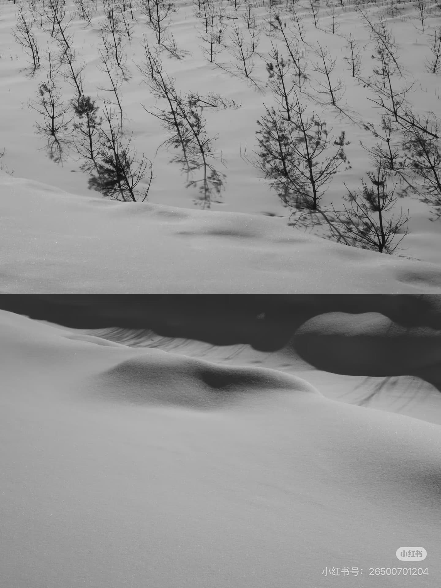 每日散步時間 — 2