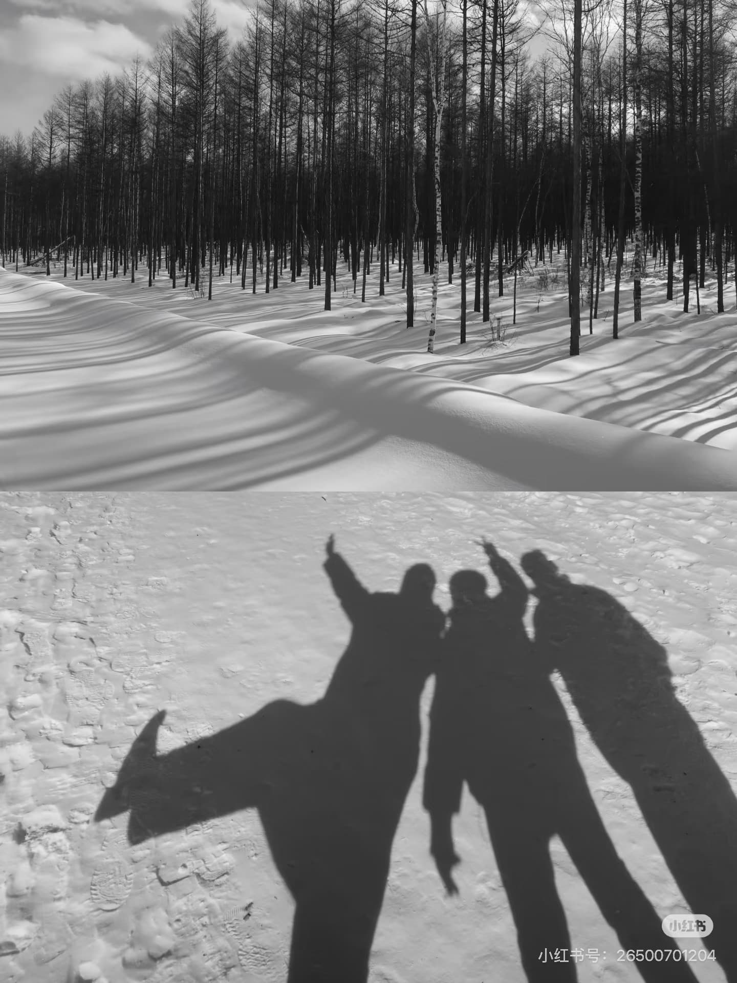 每日散步時間 — 3