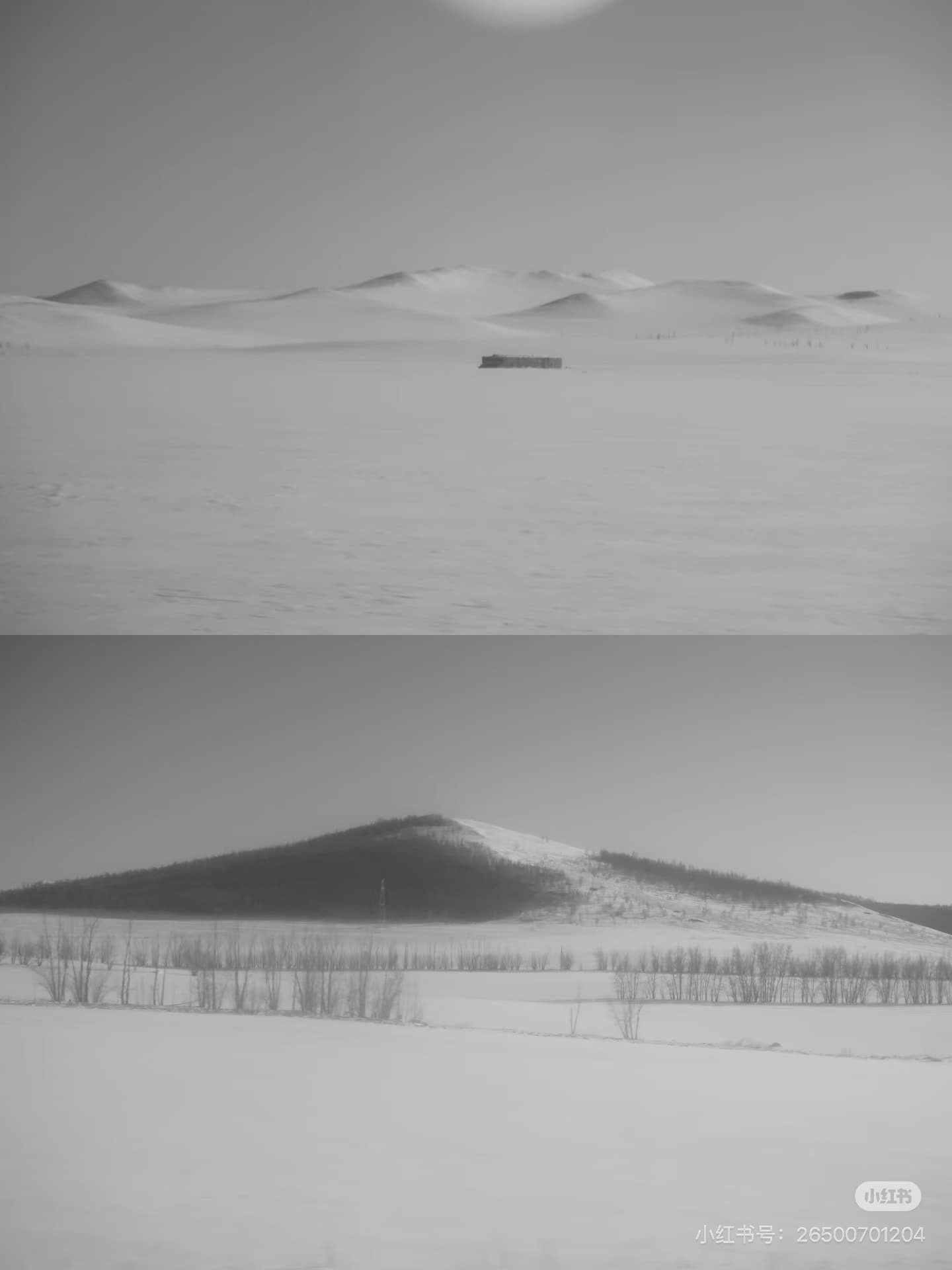 沉醉在無邊的灰白