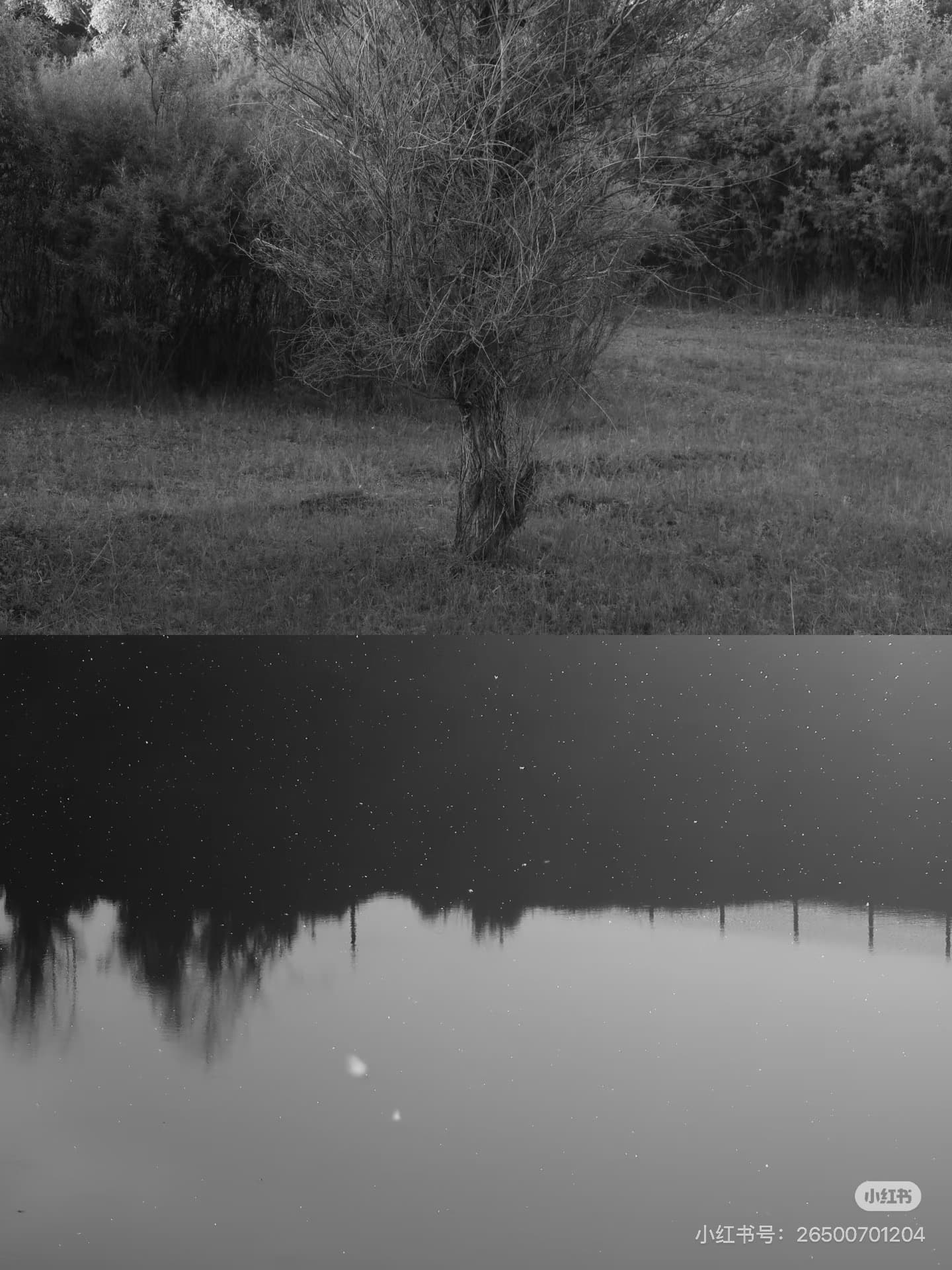 種子知道如何等待