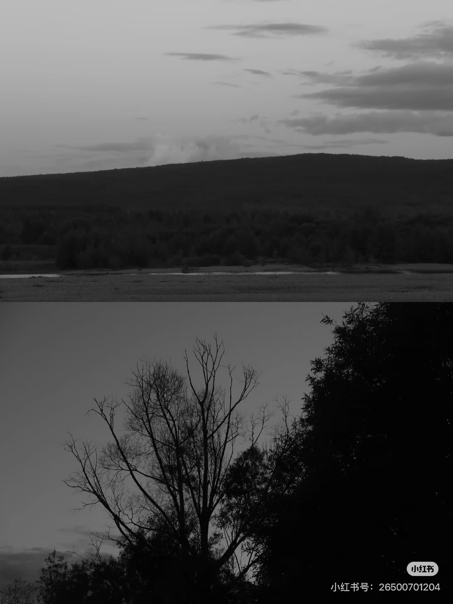 種子知道如何等待 — 2