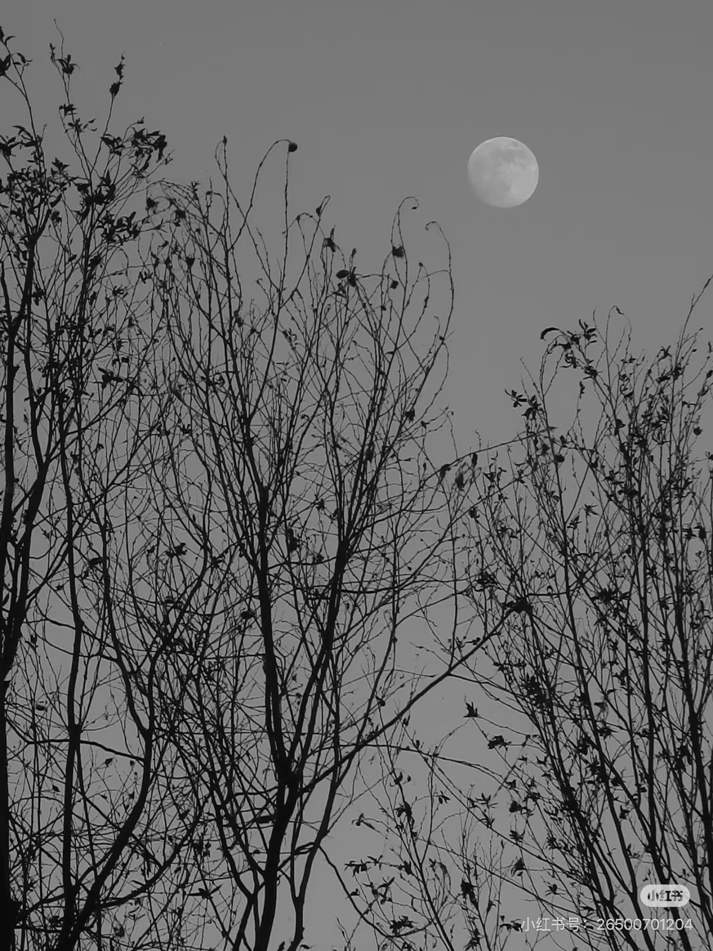 「在世間看」 — 2