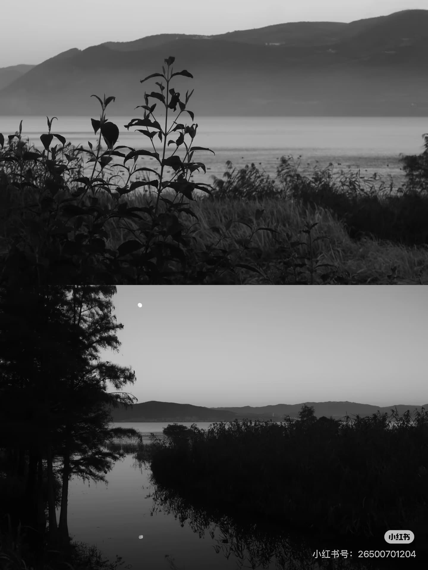 「在世間看」 — 3