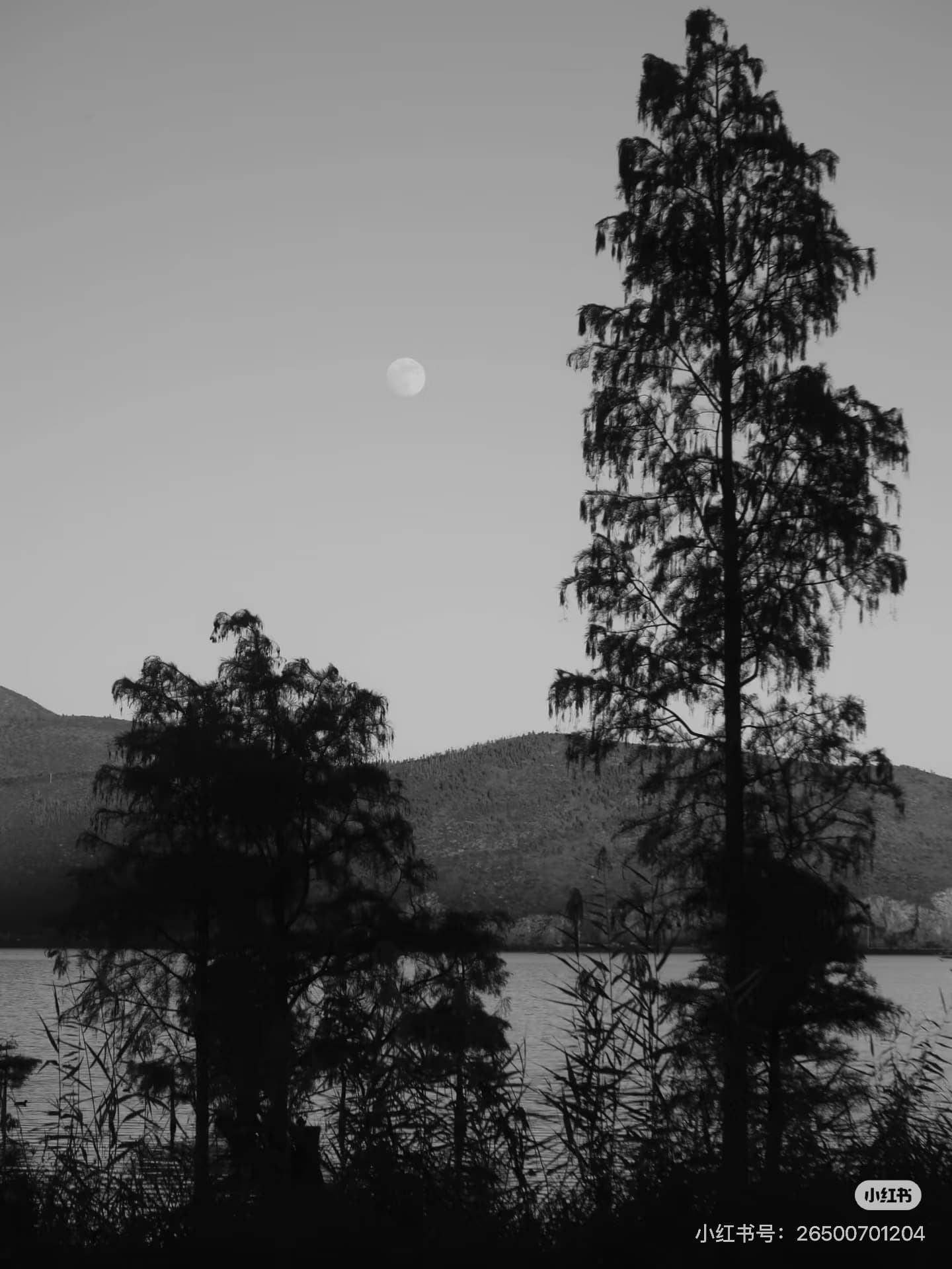 「在世間看」 — 4